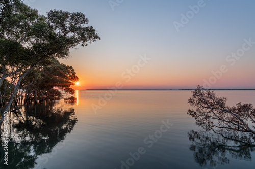 The sun rising over still waters in a mangrove forest during the morning on a clear day in Wynnum, Queensland, Australia.