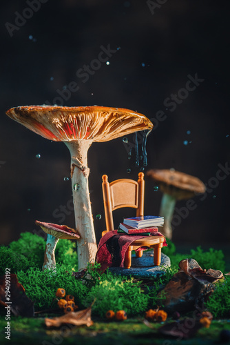 Tiny chair with plaid and a stack of books under a gigantic mushroom with moss and raindrops. Magical forest scene with copy space.