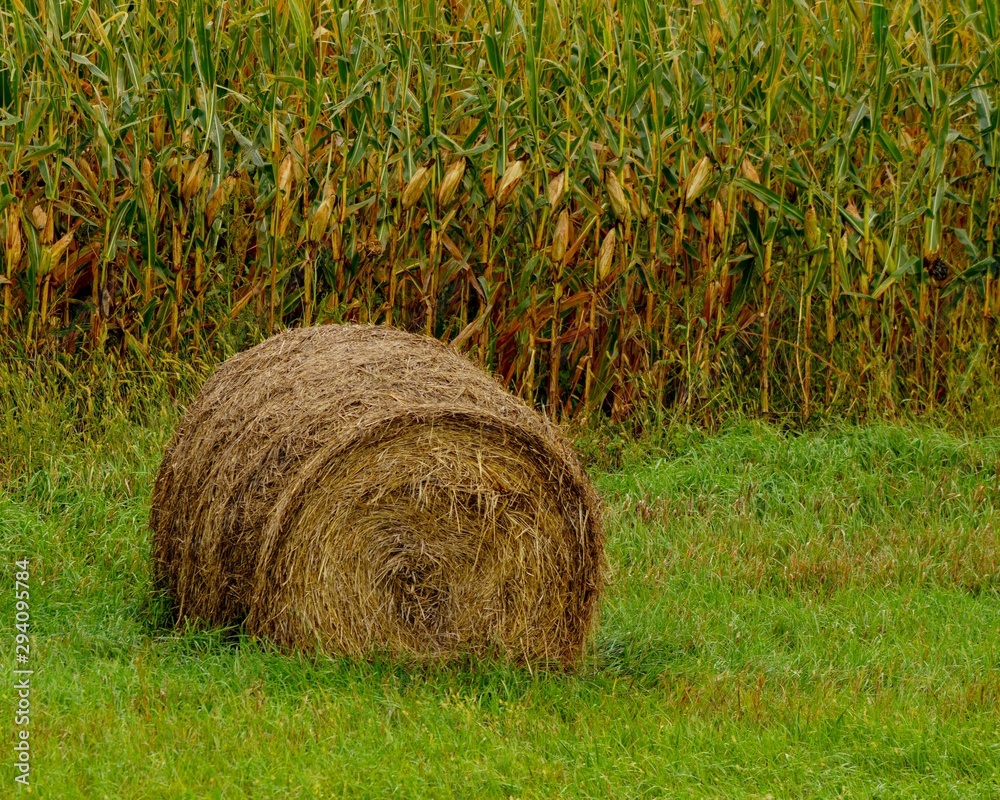 Closeup of a bale of hay on a farm in Minnesota Closeup of a bale of hay on a farm in Minnesota