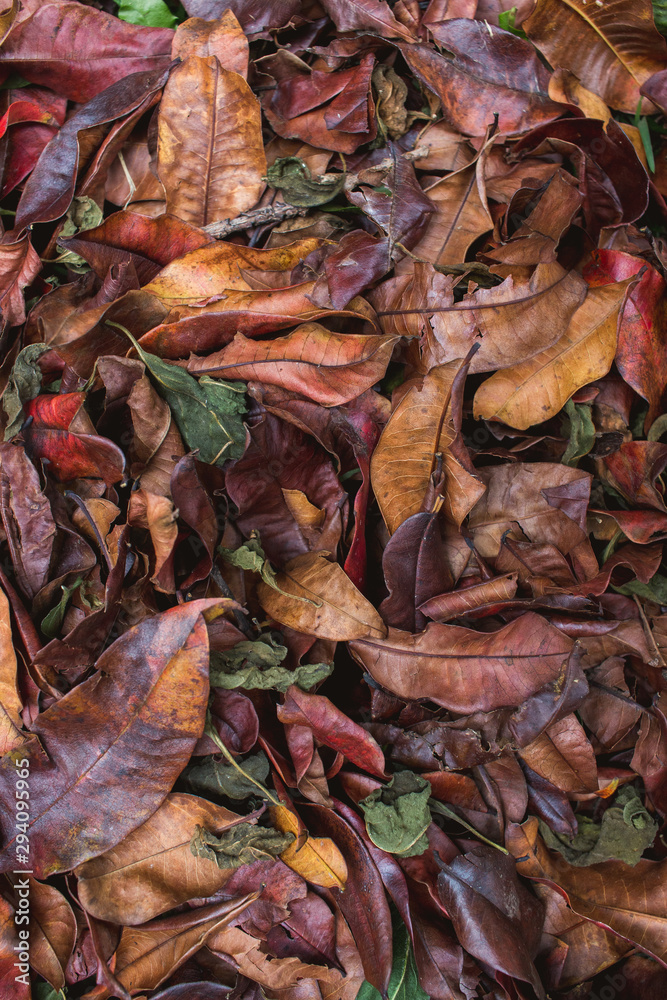 Background of autumn leaves with copyspace