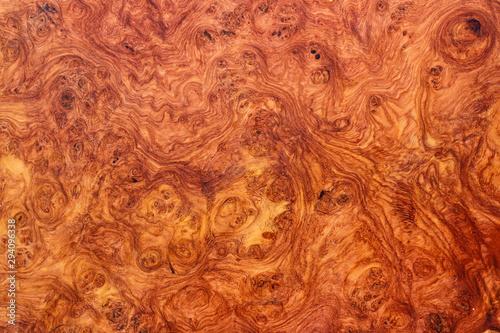 amboyna wood exotic burl strip wallpaper background photo