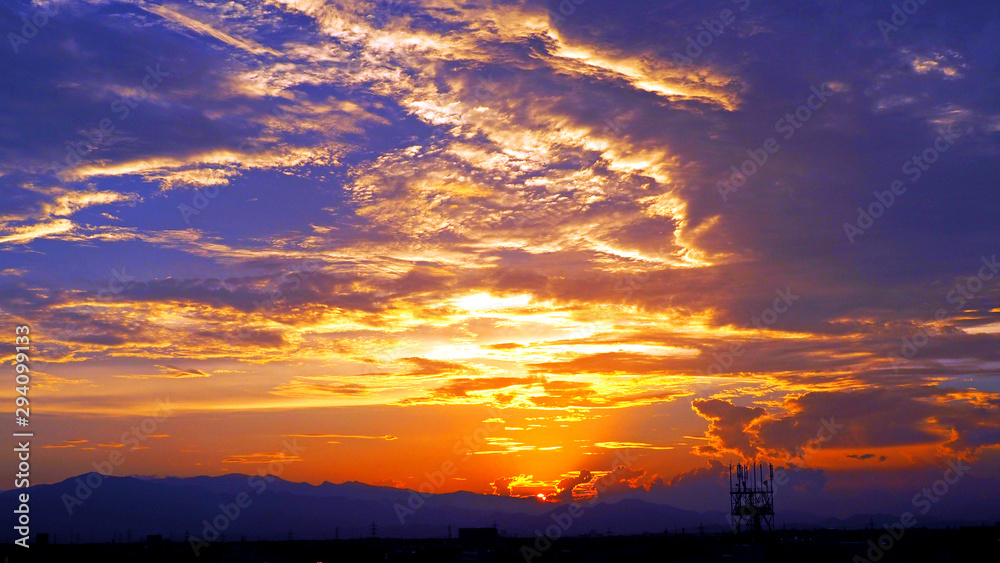 Fototapeta premium OLYMPUS DIGITAL CAMERA