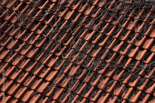 a piece of red tile roof with branches