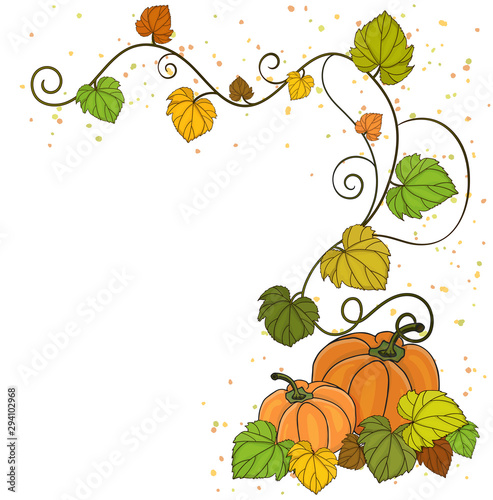 Corner element for creating postcards and banner with pumpkin and vine with autumn leaves.