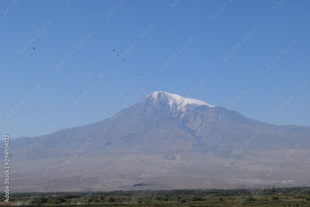 Fototapeta premium Nature of Armenia.View of Ararat