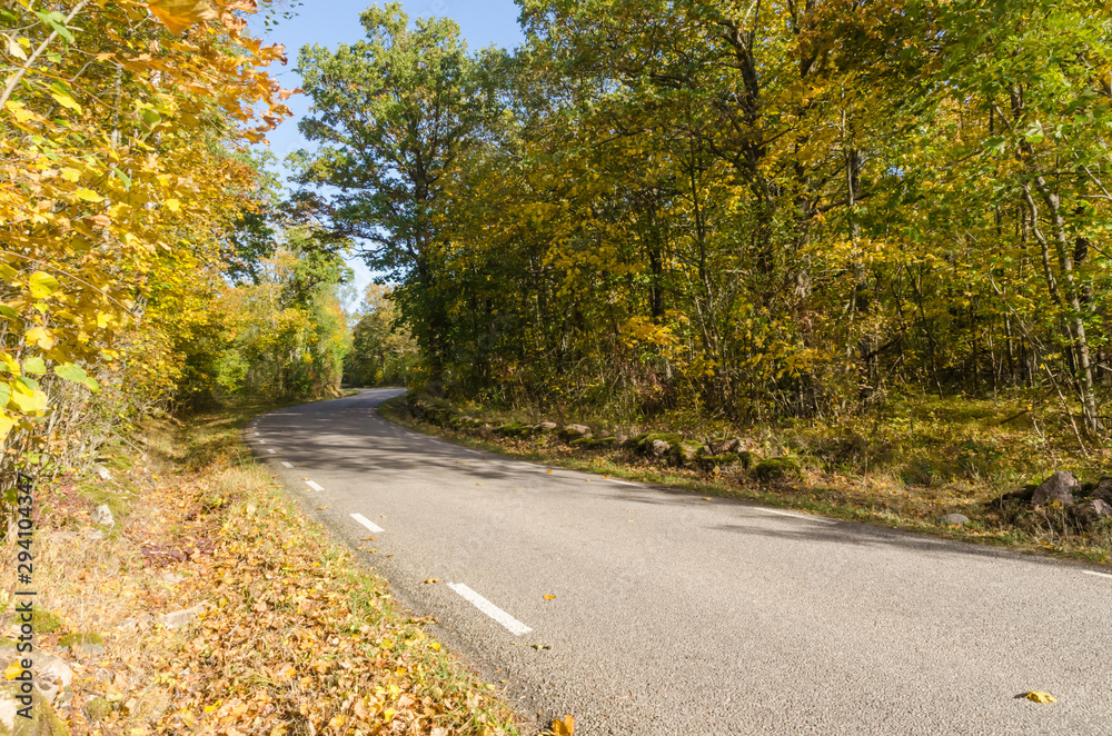 Obraz premium Winding country road in fall season colors