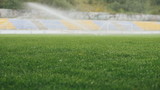 Sprinklers spraying water on the grass in football field, grass in focus, close-up