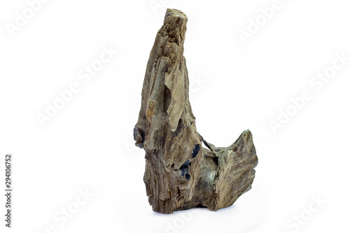 Natural driftwood isolated on white background.