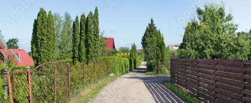 Perspective view of  road  and green hedges in the standard  poor summer  European village