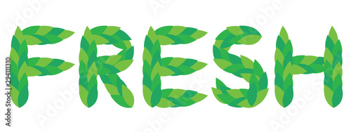 Word Fresh from green leaves. Vector modern flat the letters isolated on white background. Ecological font.