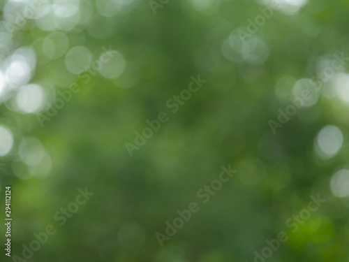 Natural bokeh background Blurred out of focus