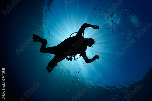 Backlit diver