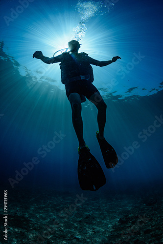 Backlit diver © mekanphotography