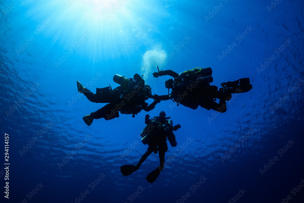 Obraz premium Divers