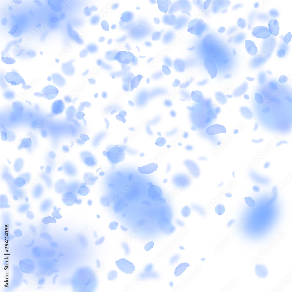 Dark blue flower petals falling down. Beauteous ro Dark blue flower petals falling down. Beauteous ro