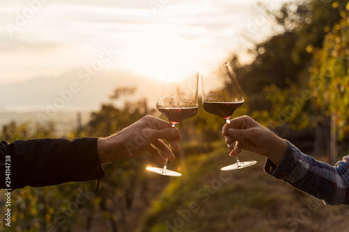 Two hands clinking red wine glass in a Vineyard during sunset