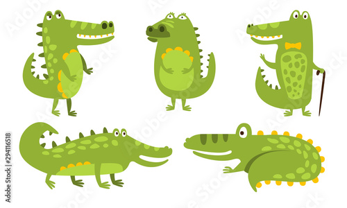 Set of humanized green with a yellow belly crocodiles. Vector illustration.