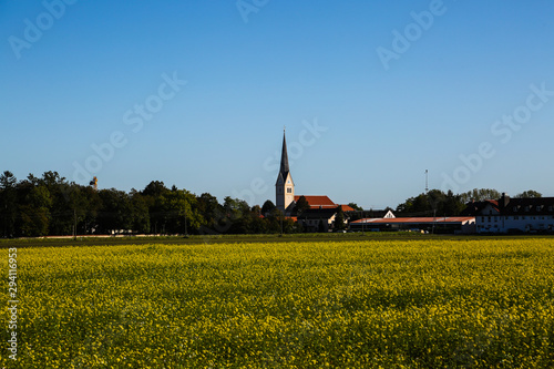 Feldmochinger church tower with rape field photo