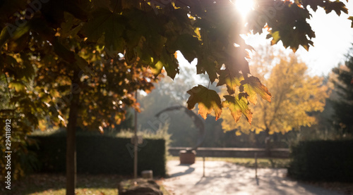 Canvas Print autumn in the danube