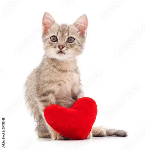 Foto Kitten with toy heart.