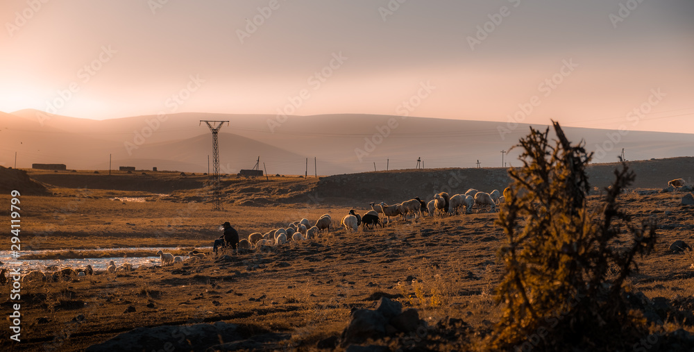sunset with a shepherd in Armenia