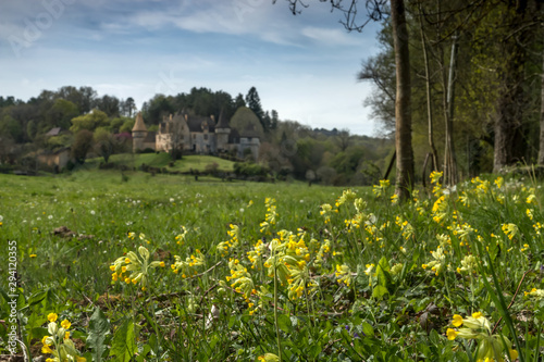 Château de la Grande Filolie à Saint Amand de Coly , en Dordogne photo