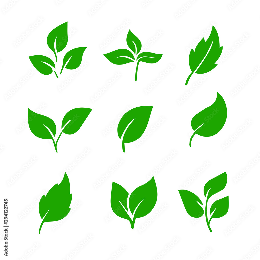 Leaf green color set, decoration element design. Leaf vector illustration isolated on white background. Natural spring decoration. - obrazy, fototapety, plakaty 