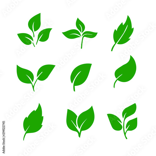 Leaf green color set  decoration element design. Leaf vector illustration isolated on white background. Natural spring decoration.