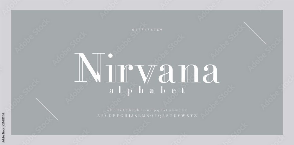 Elegant alphabet letters font and number. Classic Lettering Minimal Fashion Designs. Typography fonts numbers serif uppercase and lowercase. vector illustration