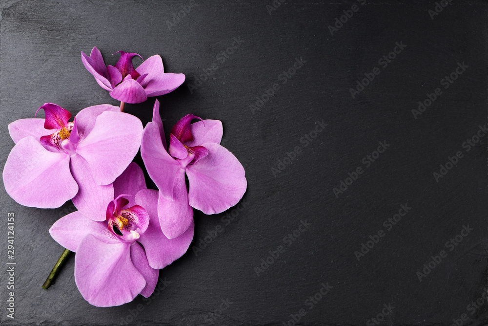 Fototapeta premium Flower arrangement of orchids.