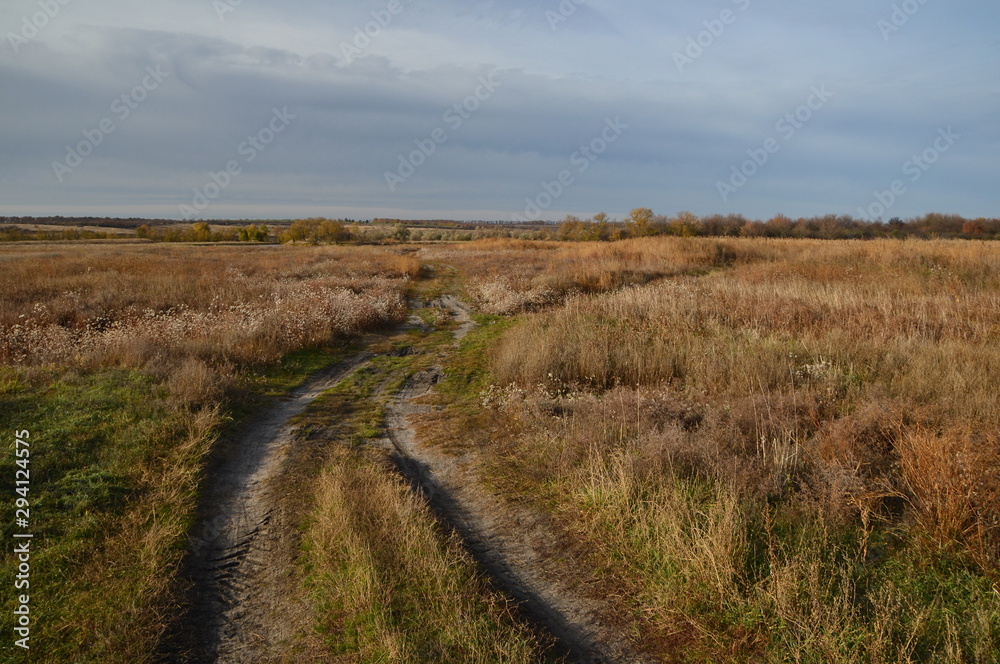 country road in the autumn steppe