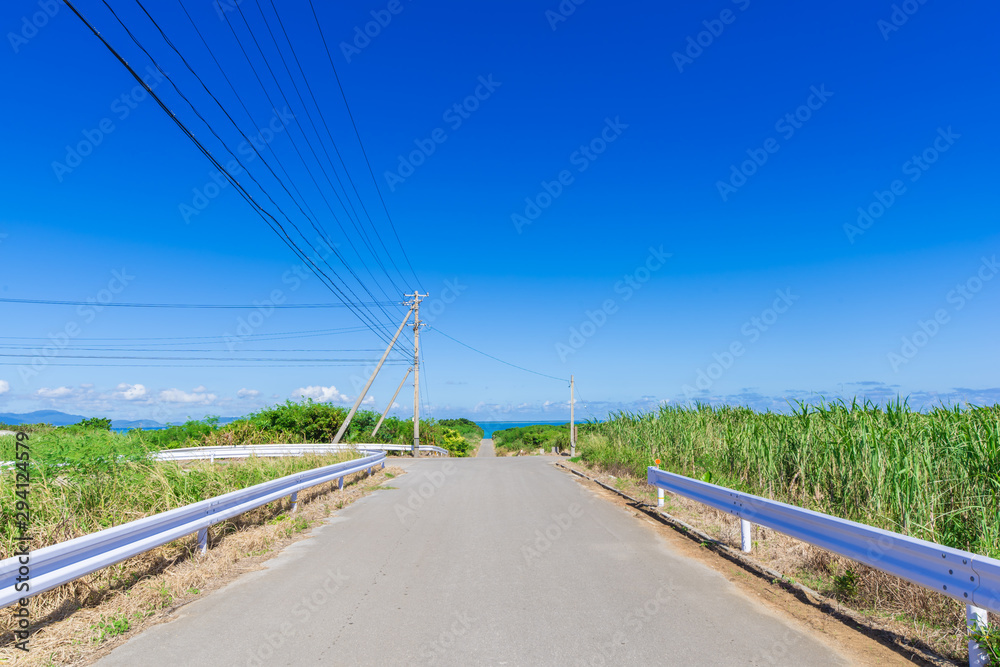 小浜島の風景