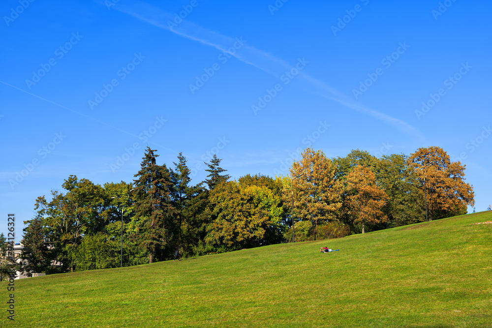 Park Background Landscape