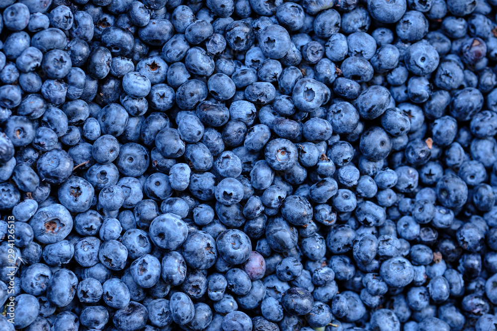 Ripe and juicy fresh picked blueberries closeup Ripe and juicy fresh picked blueberries closeup
