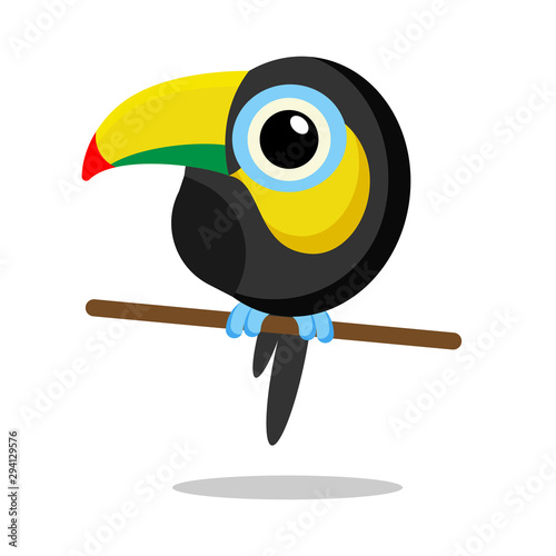toucan flat vector