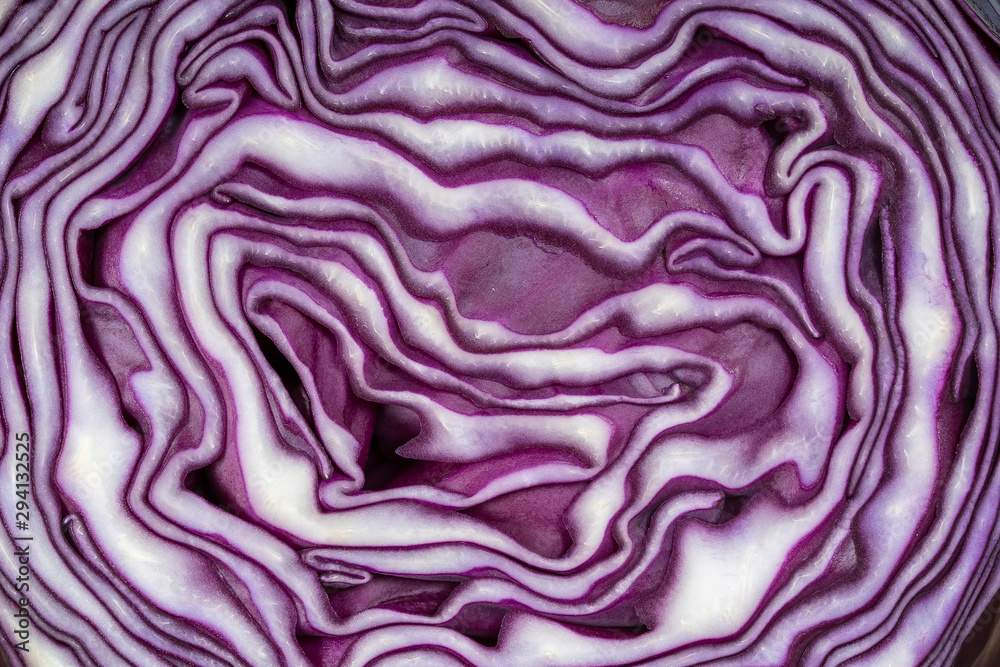 Obraz premium Background of the blue cabbage in the cut. Close up, top view. Texture raw purple cabbage