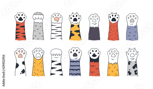 Cat paws. Doodle animal foot, cute cartoon kitten and puppy paws, wild and domestic animals foots. Vector drawing kitty and dog different breed pet set on white background