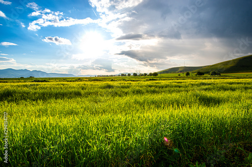 Summer landscape after rain