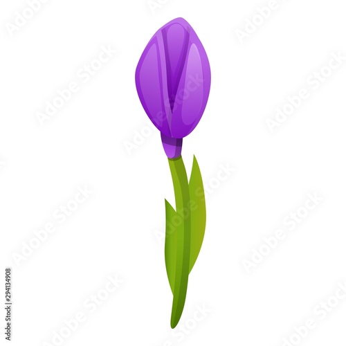 Small crocus icon. Cartoon of small crocus vector icon for web design isolated on white background