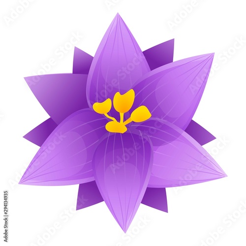 Violet crocus icon. Cartoon of violet crocus vector icon for web design isolated on white background