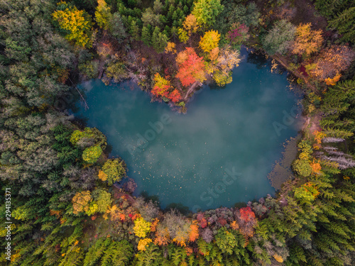 Lake surrounded by forest in autumn. Aerial view 