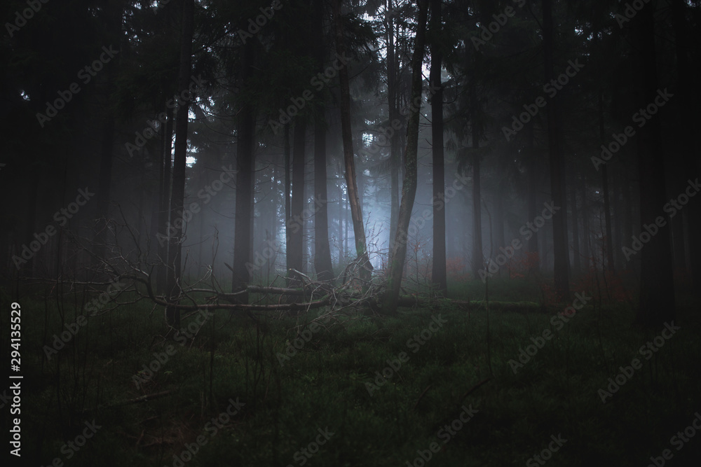 Dark misty forrest scene with dead trees shot on a foggy autumn morning. Trees with woodpecker den. Very moody, spooky and dark edit. - obrazy, fototapety, plakaty 
