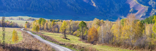 Autumn road  scenic panoramic view. Yellow trees on a background of blue mountainside.
