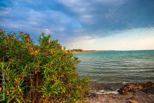 Landscape at the sea in Kassandra, Greece