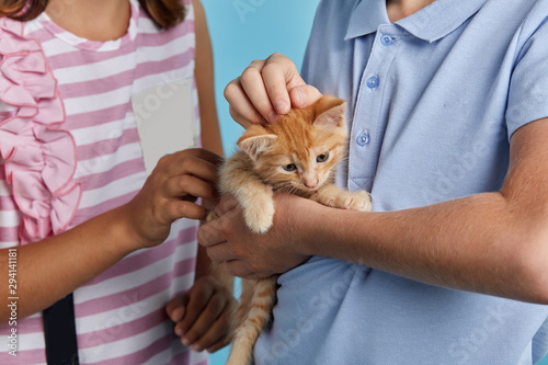 Beautiful kids holding a nice lovely pet  close up cropped photo.animal lover  lifestyle