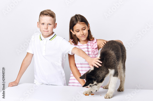 nice children feeding their pet, close up portrait, hobby, interest