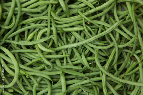 Tableau sur toile Haricots verts