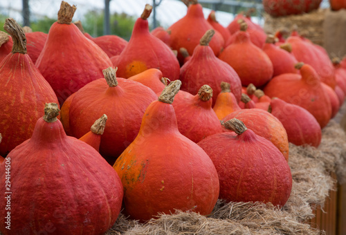various types of vibrant and colourful pumpkins for sale at a market during autumn