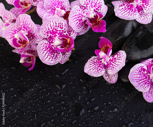 Beautiful floral background with orchids and black stones on wet black background