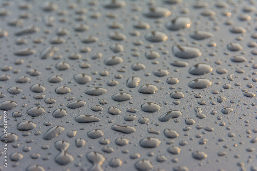 Water drops with sunlight background Water drops with sunlight background